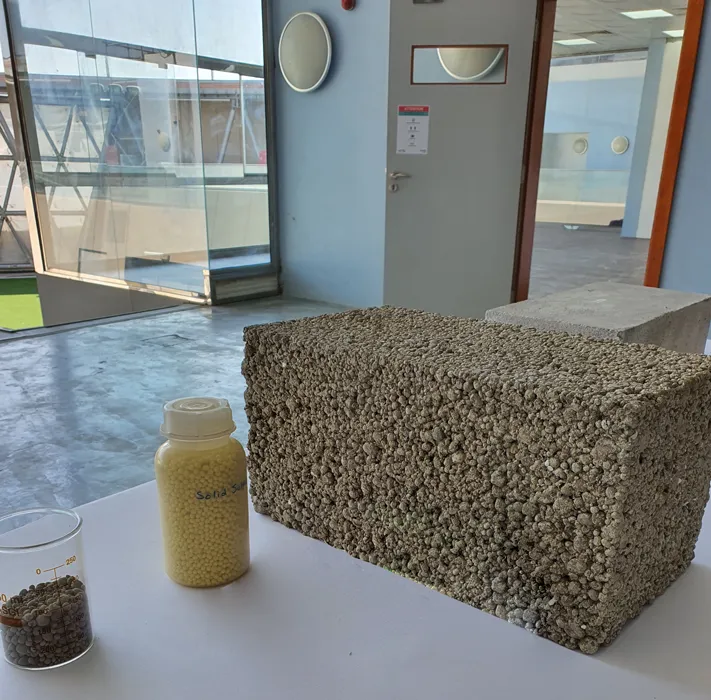Low Carbon Cement