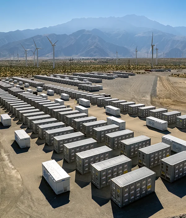 arge-Scale Deployment & Regional Relevance