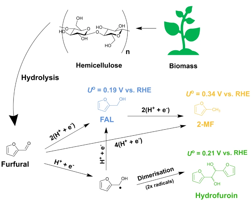 biomass valorization for the next generation of fuels